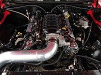 1970 Chevrolet Chevelle for sale in Riverhead, New York (ID-133776)