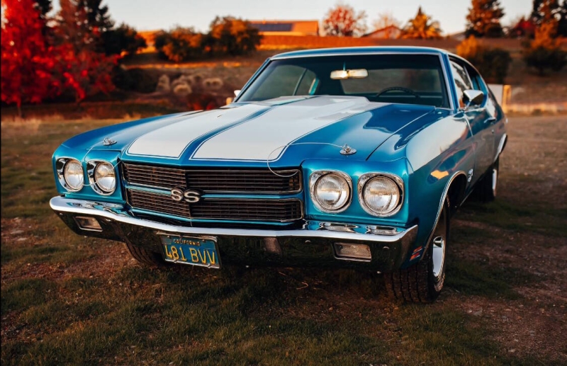 1970 Chevrolet Chevelle for sale in Addison, Illinois (ID-135849)