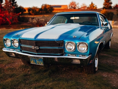 1970 Chevrolet Chevelle for sale