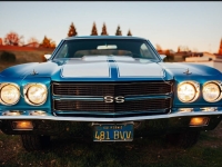 1970 Chevrolet Chevelle for sale in Addison, Illinois (ID-135849)