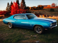 1970 Chevrolet Chevelle for sale in Addison, Illinois (ID-135849)