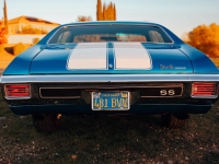 1970 Chevrolet Chevelle for sale in Addison, Illinois (ID-135849)