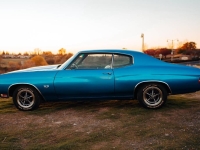 1970 Chevrolet Chevelle for sale in Addison, Illinois (ID-135849)