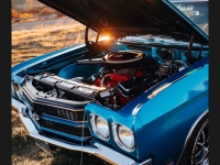 1970 Chevrolet Chevelle for sale in Addison, Illinois (ID-135849)