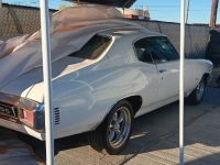 1970 Chevrolet Chevelle for sale in Michigan (ID-136120)