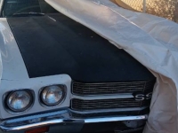 1970 Chevrolet Chevelle for sale in Michigan (ID-136120)