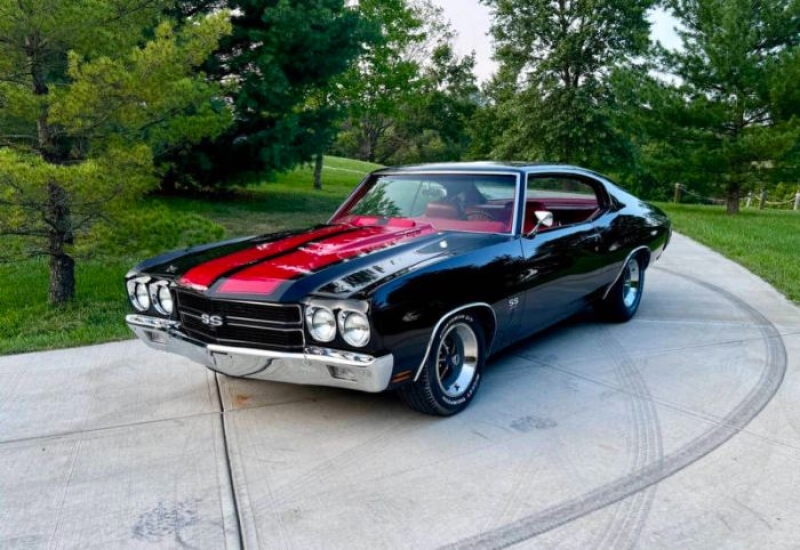 1970 Chevrolet Chevelle for sale in Michigan (ID-137003) 1970 Chevrolet Chevelle for sale in Michigan (ID-137003)