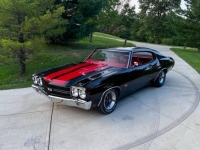 1970 Chevrolet Chevelle for sale in Michigan (ID-137003)