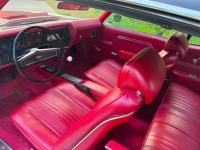 1970 Chevrolet Chevelle for sale in Michigan (ID-137003)