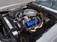 1970 Chevrolet Chevelle for sale in Michigan (ID-137042)