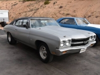 1970 Chevrolet Chevelle for sale in Michigan (ID-137042)