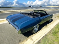 1970 Chevrolet Chevelle for sale in Addison, Illinois (ID-140918)