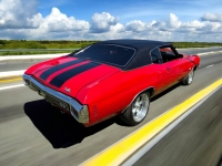 1970 Chevrolet Chevelle for sale in Addison, Illinois (ID-140920)