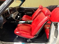 1970 Chevrolet Chevelle for sale in Michigan (ID-141133)
