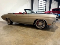 1970 Chevrolet Chevelle for sale in Michigan (ID-141133)