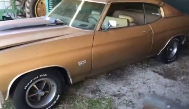 1970 Chevrolet Chevelle for sale in Michigan (ID-142707)