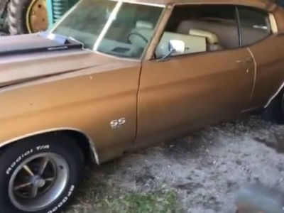 1970 Chevrolet Chevelle for sale