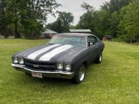 1970 Chevrolet Chevelle for sale in Michigan (ID-143326)