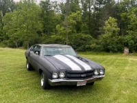 1970 Chevrolet Chevelle for sale in Michigan (ID-143326)