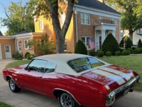 1970 Chevrolet Chevelle for sale in Michigan (ID-143751)