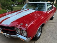 1970 Chevrolet Chevelle for sale in Michigan (ID-143751)