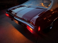 1970 Chevrolet Chevelle for sale in Michigan (ID-143751)