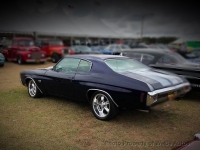 1970 Chevrolet Chevelle for sale in Sedro Wooley, Washington (ID-144288)