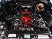 1970 Chevrolet Chevelle for sale (ID-144651)