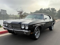 1970 Chevrolet Chevelle for sale in Michigan (ID-155112)
