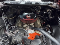 1970 Chevrolet Chevelle for sale in Addison, Illinois (ID-161260)