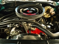 1970 Chevrolet Chevelle for sale in Riverhead, New York (ID-161432)