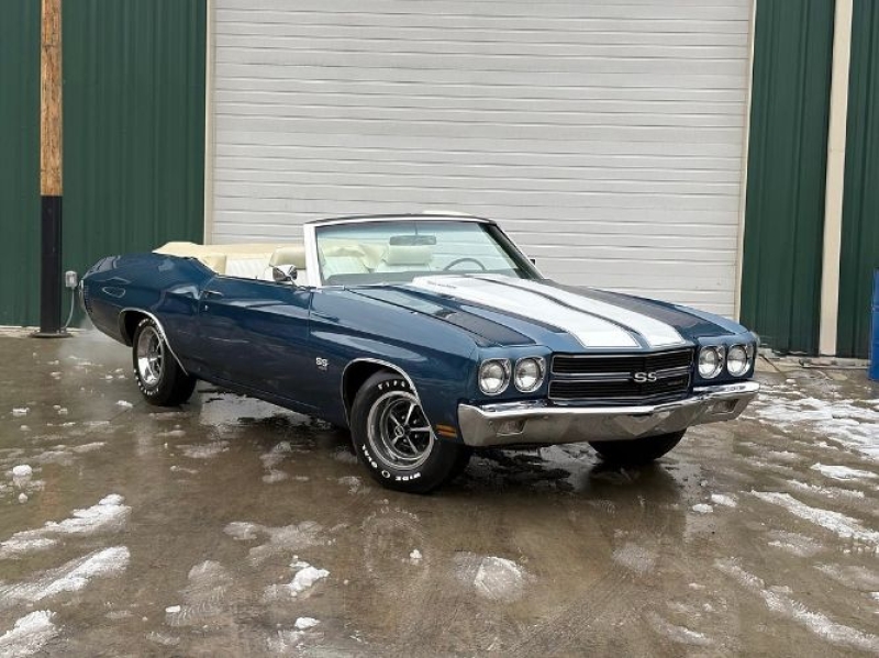 1970 Chevrolet Chevelle for sale in Michigan (ID-161484)