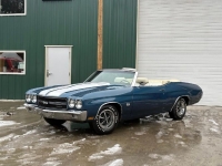 1970 Chevrolet Chevelle for sale in Michigan (ID-161484)