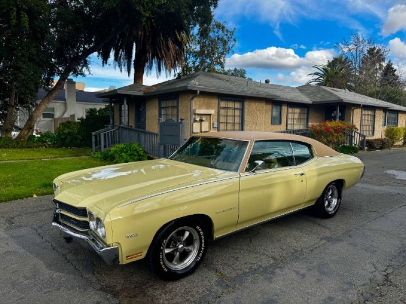 1970 Chevrolet Chevelle for sale in Michigan (ID-161584)