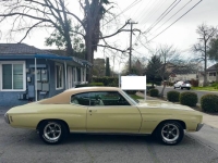1970 Chevrolet Chevelle for sale in Michigan (ID-161584)