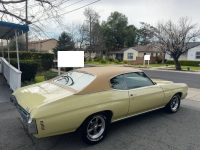 1970 Chevrolet Chevelle for sale in Michigan (ID-161584)