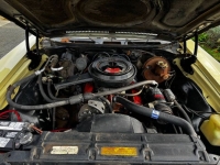 1970 Chevrolet Chevelle for sale in Michigan (ID-161584)