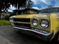 1970 Chevrolet Chevelle for sale in Michigan (ID-161584)