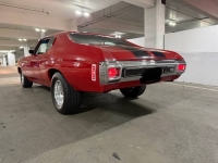 1970 Chevrolet Chevelle for sale in Michigan (ID-161717)