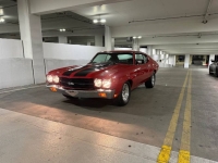 1970 Chevrolet Chevelle for sale in Michigan (ID-161717)