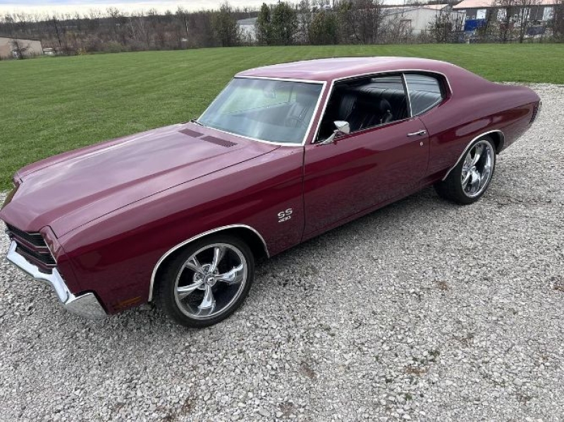 1970 Chevrolet Chevelle for sale in Michigan (ID-161727)