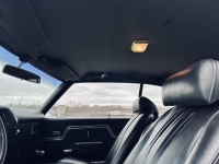 1970 Chevrolet Chevelle for sale in Michigan (ID-161727)