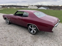 1970 Chevrolet Chevelle for sale in Michigan (ID-161727)