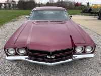 1970 Chevrolet Chevelle for sale in Michigan (ID-161727)