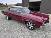 1970 Chevrolet Chevelle for sale in Michigan (ID-161727)