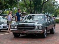 1970 Chevrolet Chevelle for sale in Michigan (ID-161892)