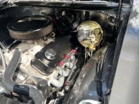 1970 Chevrolet Chevelle for sale in Michigan (ID-161892)