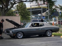 1970 Chevrolet Chevelle for sale in Michigan (ID-161892)