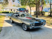 1970 Chevrolet Chevelle for sale in Michigan (ID-161892)