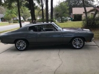 1970 Chevrolet Chevelle for sale in Michigan (ID-161892)